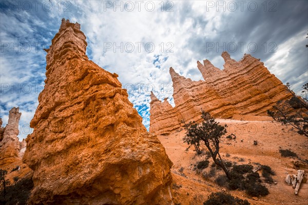 End of the trail with the queen above the stone at Queens Garden Trail in Bryce National Park