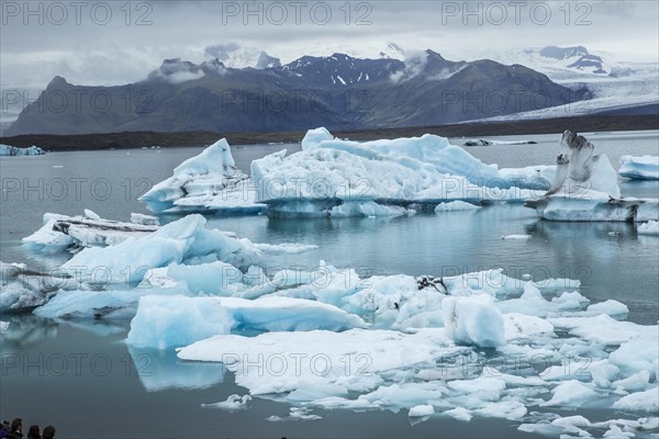 A seal and a young man paddle surfing on Jokulsarlon Ice Lake in the Golden Circle of southern Iceland