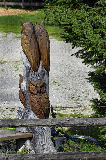 Owls carved from a tree trunk at Alpe Wenger-Egg near Wengen in Allgaeu