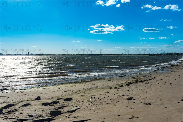 On the Millstone Trail towards the Dead Horse Bay off the Barren Island and Floyd Bennett Field. Brooklyn