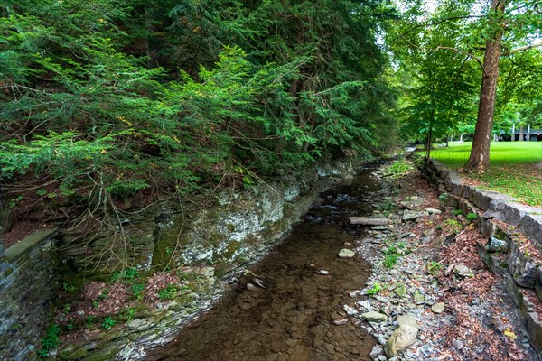 Robert H. Treman State Park: Gorge Trail. Tompkins County