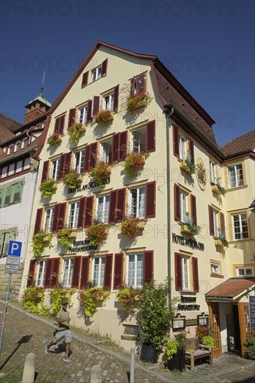 Hotel am Schloss