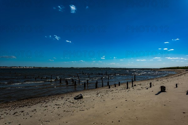 On the Millstone Trail towards the Dead Horse Bay off the Barren Island and Floyd Bennett Field. Brooklyn