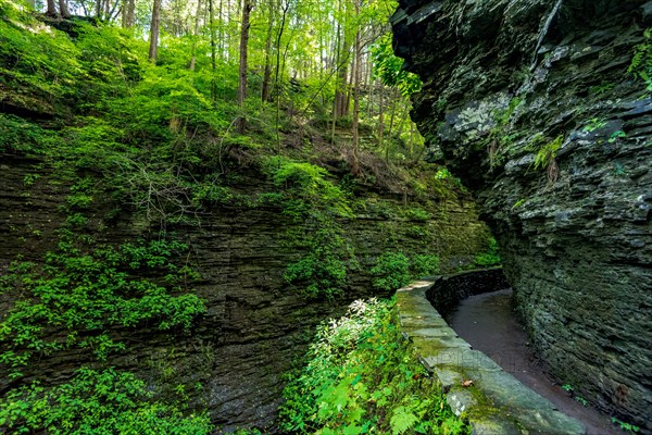 Watkins Glen State Park: Gorge Trail