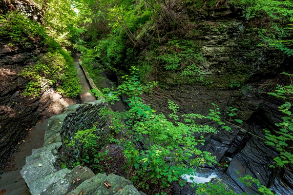 Watkins Glen State Park: Gorge Trail
