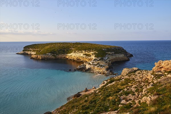 Rabbit Island
