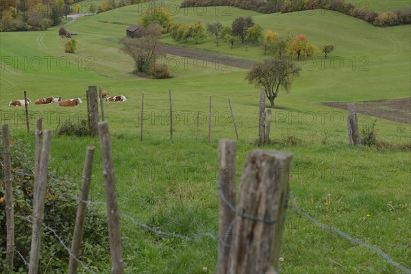 Autumn landscape near Gaildorf