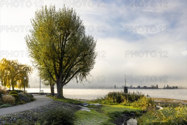 Fog over Lake Constance on an autumn morning with boats