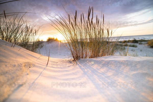 Sunset in the dunes at the North Sea