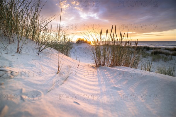 Sunset in the dunes at the North Sea