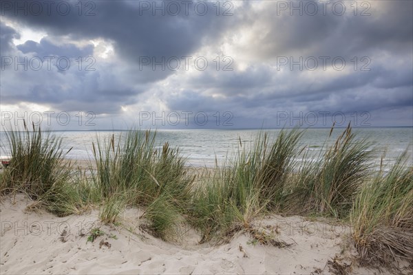 Dune landscape on the North Sea coast in De Panne
