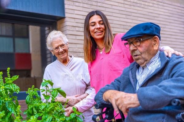 Nurse and seniors in a vegetable garden in a nursing home