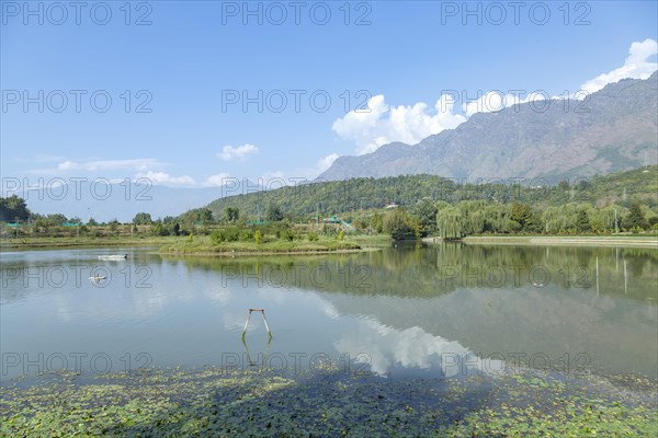 Beautiful lake in Srinagar