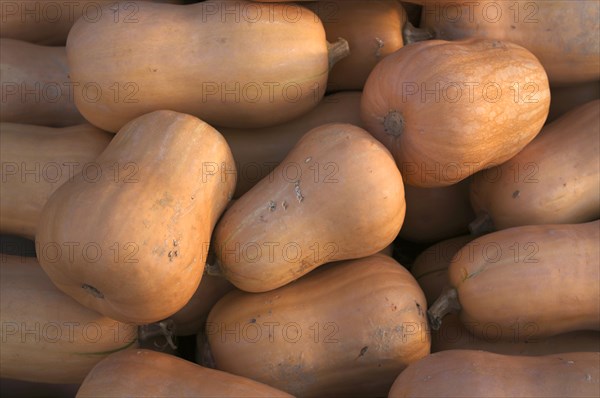 Pumpkins