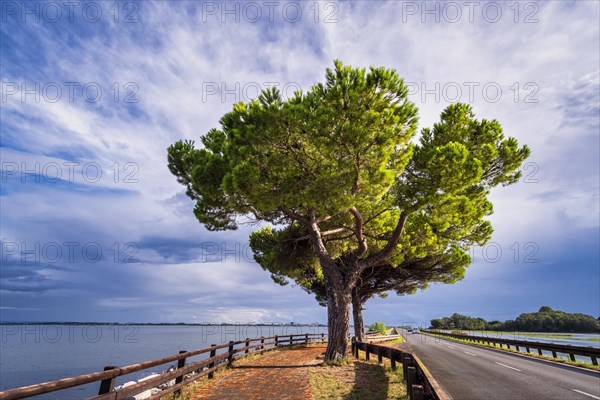 Embankment road to Grado