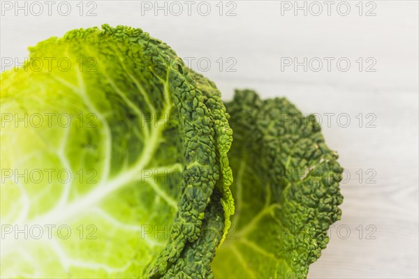 Close up green cabbage leaves
