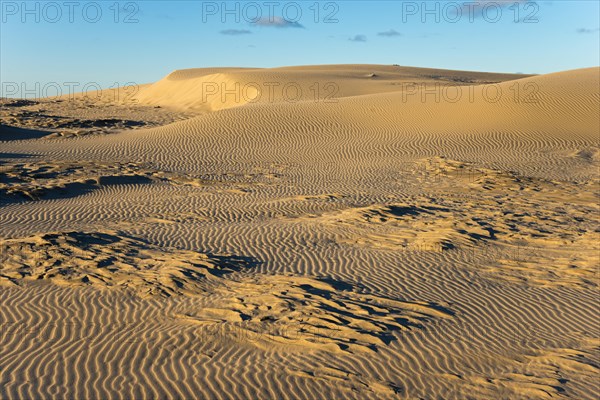 Travelling dune