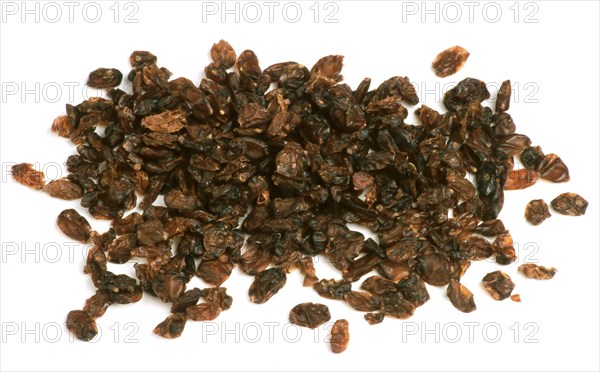 Berberis vulgaris.dried berries of the barberry