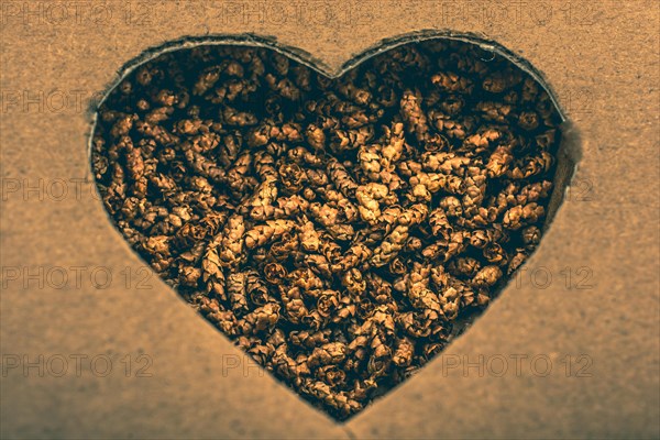 Love icon and Valentine's day wording on torn paper