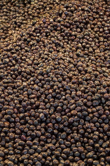 Turkish style prepared olives in the market stands