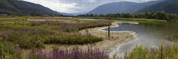 Bleistaetter Moor European nature reserve