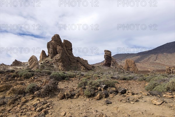 Roque Chinchado rock needle