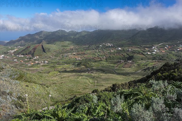Valley of El Palmar