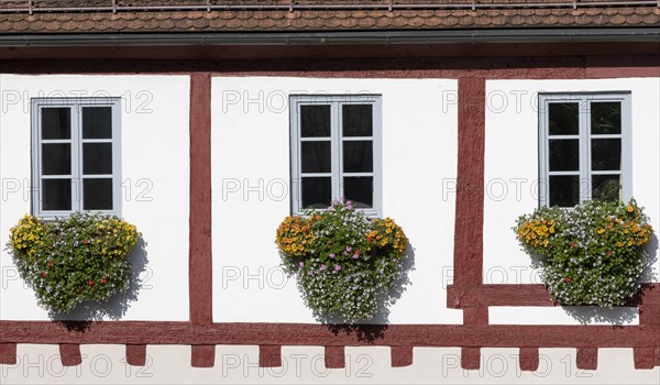 Detail of the half-timbered house with floral decoration under three windows