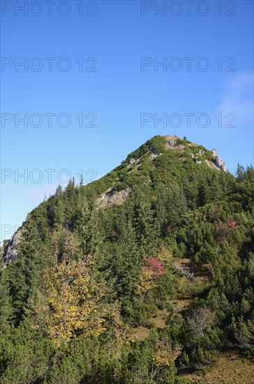 Schildenstein