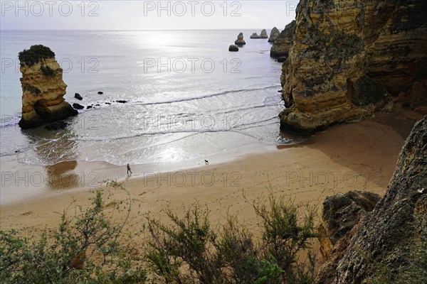 Rocky coast