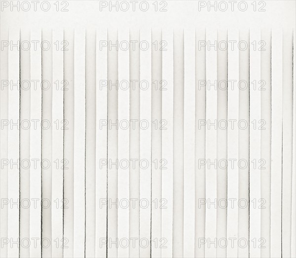 Half shredded blank page with copy space