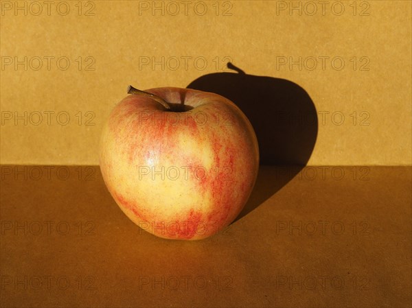 Apple fruit still life