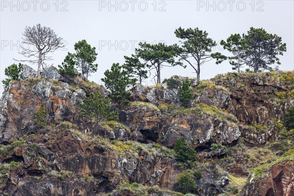 Weathered lava rocks on the cliffs