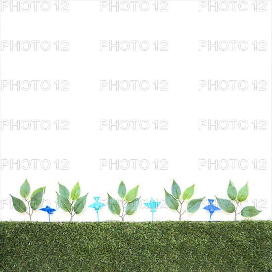 Green trees plastic birds
