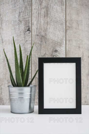 Aloe vera aluminum container with white picture frame against wooden wall