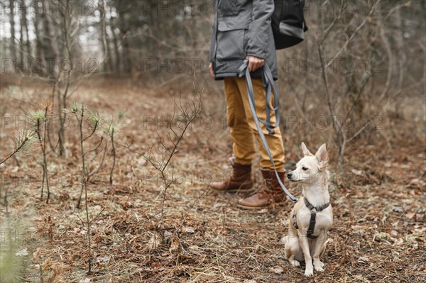 Close up hand holding dog leash