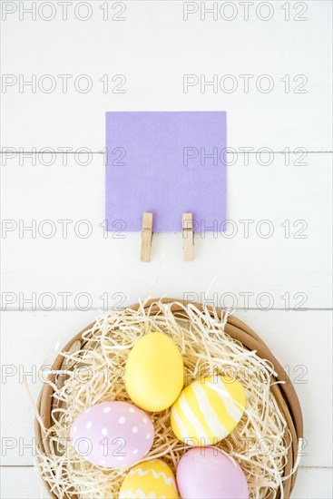 Set bright eggs decorative nest near paper