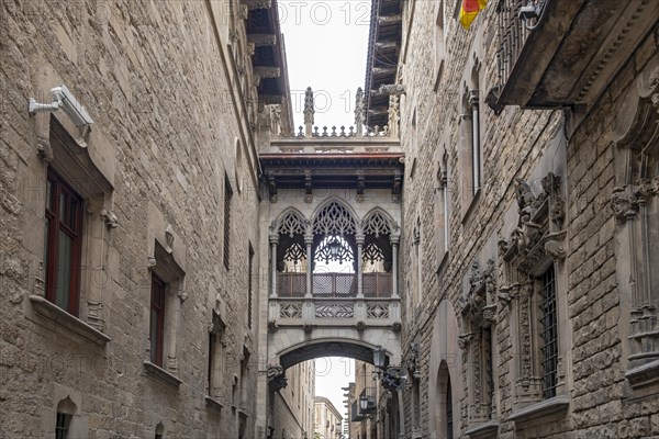El Pont del Bisbe