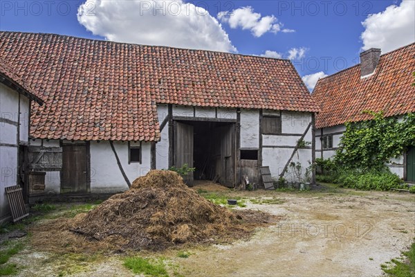 Dunghill