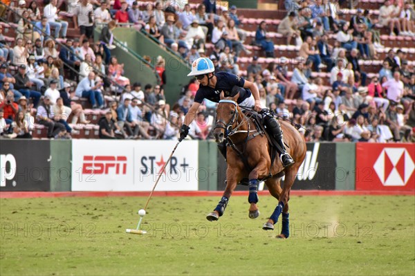 Adolfo Cambiaso