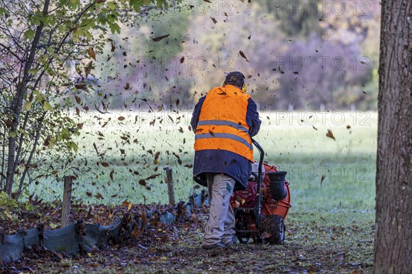 Autumn is the time for leaf blowers