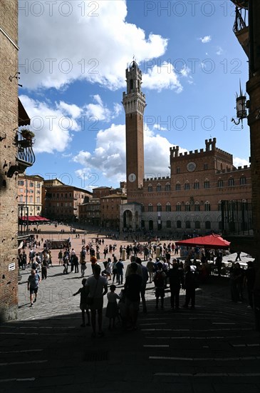 Piazza del Campo and Torre del Mangia