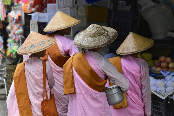 Buddhist nuns going begging