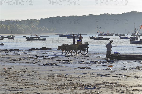 Ox carts and fishing boats on Ngapali Beach
