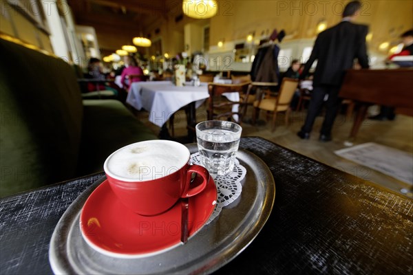 Traditional Viennese coffee house