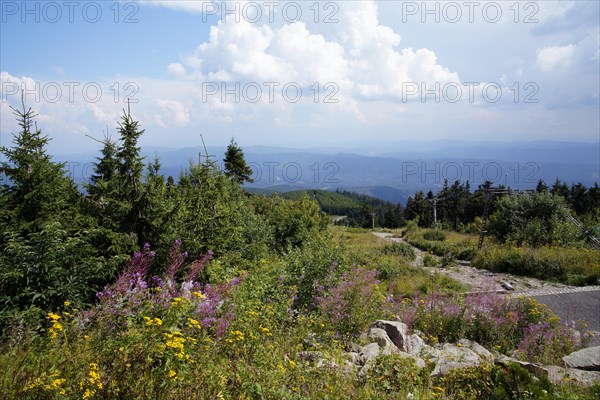 Moravian-Silesian Beskydy