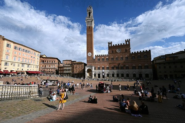 Piazza del Campo and Torre del Mangia