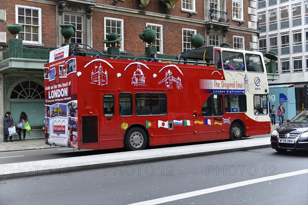 Bus Tours of London