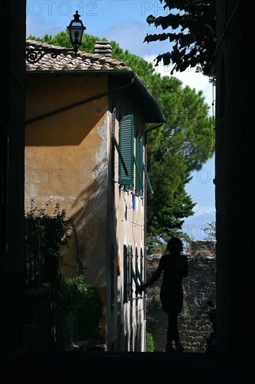 Volterra