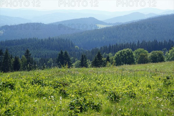 Moravian-Silesian Beskydy
